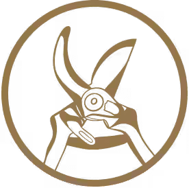 Abattage et élagage d'arbre en Vendée