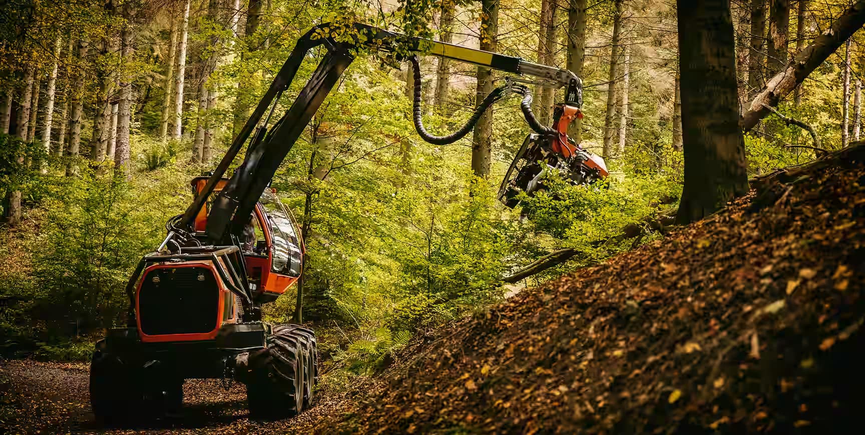 debrousaillage-defrichage