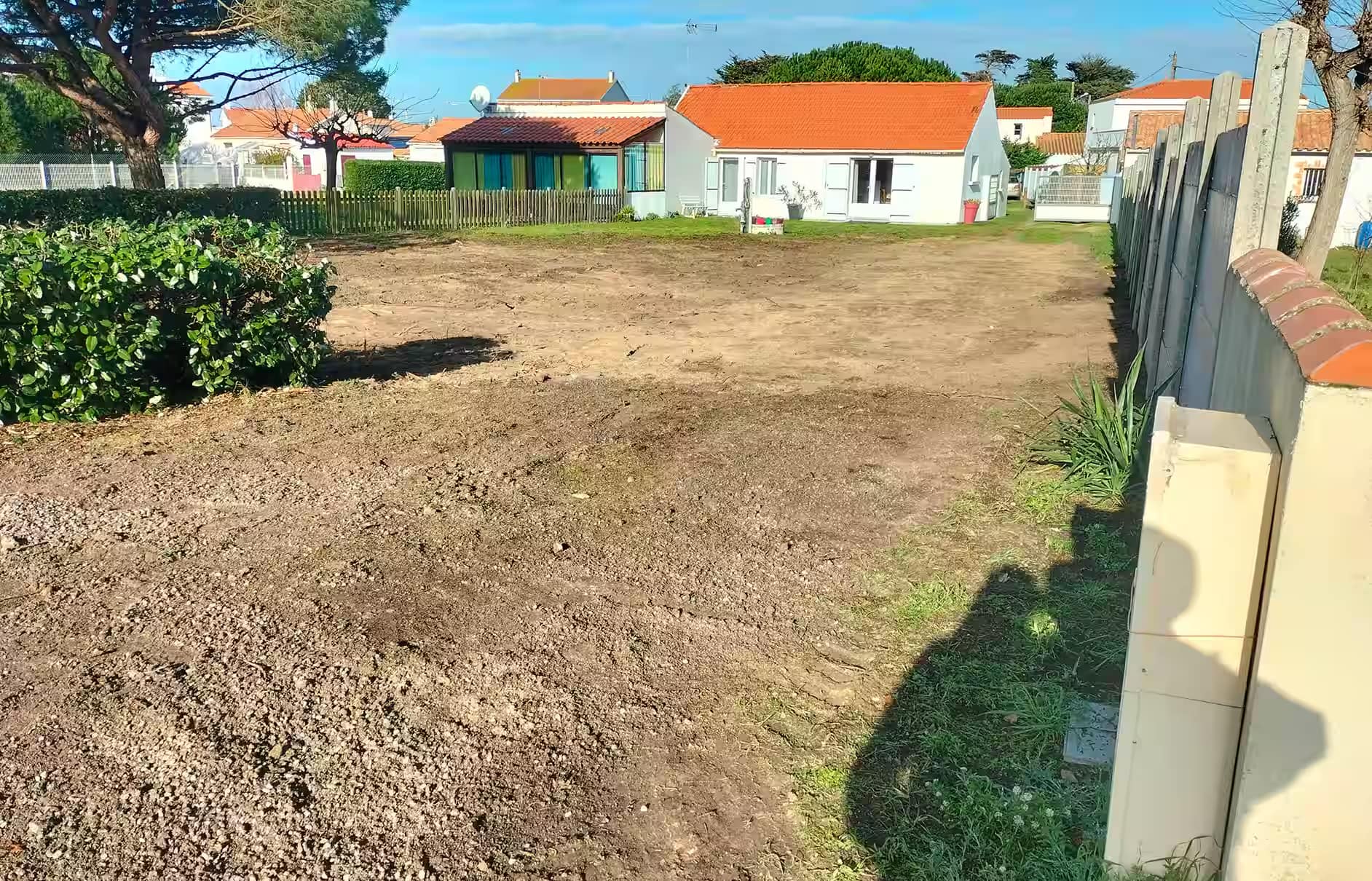 Chantier après abattage de l'arbre